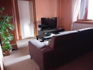 ein Wohnzimmer mit einem Sofa und einem Flachbild-TV in der Unterkunft appartement spacieux dans joli village alsacien in Châtenois