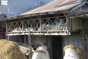 un antiguo edificio con fardos de heno delante de él en Tharu COOP Homestay in Sauraha, Kathar :Chitwan, en Sauraha