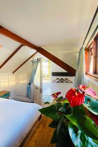 a bedroom with a white bed and a plant at Ami Vine House in Cape Town