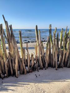 Příroda nedaleko prázdninového domu