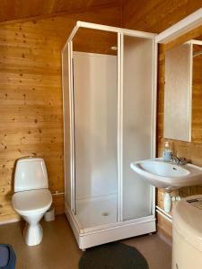 La salle de bains est pourvue d'une douche, de toilettes et d'un lavabo. dans l'établissement Trollstigen Camping and Gjestegård, à Åndalsnes