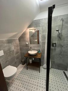 uma casa de banho com um lavatório, um WC e um chuveiro em Penzion U Křížku em Malá Morávka