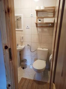 a small bathroom with a toilet and a sink at Agroturystyka U Głuszków in Myczkowce