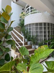 a staircase leading to a building with plants at MIDNIGHT CREPES Homecafe/Lifestyle Studio in Ban Bang Toei (1) +9 photos