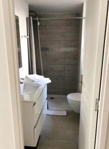 a bathroom with a shower and a toilet and a sink at Terrazzo in Bastia +11 photos