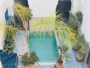 a small swimming pool with palm trees and plants at Riad Ifoulki in Marrakesh