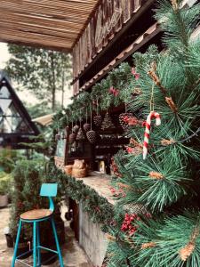 uma árvore de Natal ao lado de um edifício em House Of Lens em Buon Ma Thuot