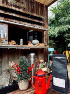 a cat sitting on a table next to a plant at House Of Lens in Buon Ma Thuot