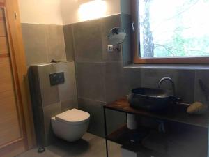 a small bathroom with a toilet and a sink at Wohlfühlhaus mit großem Garten in Zgornja Kungota