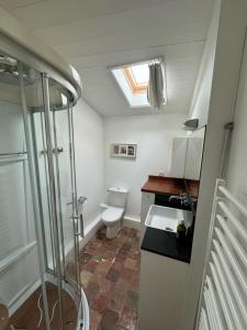 a bathroom with a shower and a toilet and a sink at Ma Chambre d'Amis in Saint-Clément-des-Baleines