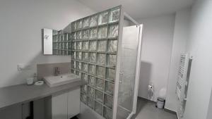 a white bathroom with a sink and a shower at Fenix Appartement T2 40 M2 cosy RDC plein centre ville in Pierrelatte