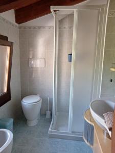 a bathroom with a shower and a toilet and a sink at La Colombara in Fara Vicentino