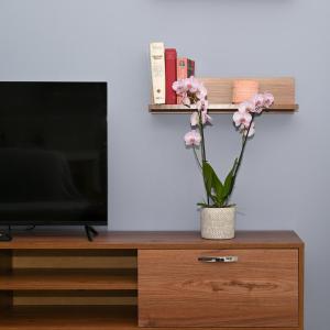 TV a/nebo společenská místnost v ubytování Silkes Apartment