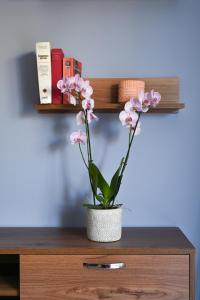 Fotografie z fotogalerie ubytování Silkes Apartment v destinaci Sitia