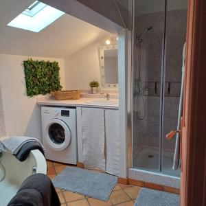 a bathroom with a shower and a washing machine at Clos Baroanni - Gîte Terra in Terraube