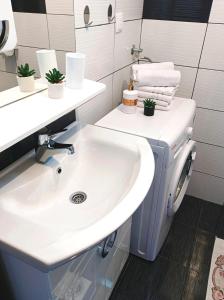 a bathroom with a sink and a washing machine at Dina apartman Jablaničko jezero in Konjic