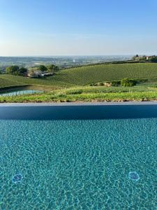 uitzicht op een zwembad voor een wijngaard bij Podere Mantignano in Faenza