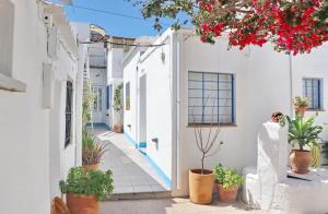 a row of white houses with potted plants at Complejo La Chanca, HAB 11 in Conil de la Frontera