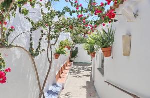 a white alley with flowers in potted plants at Complejo La Chanca, HAB 11 in Conil de la Frontera