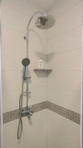 a shower with a shower head in a bathroom at Apartman Marija in Perušić