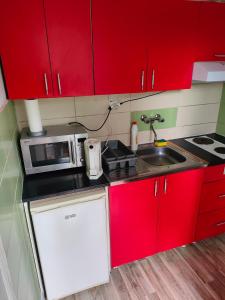 una pequeña cocina con armarios rojos y fregadero en Joky Katona Rooms & Apartments, en Palić
