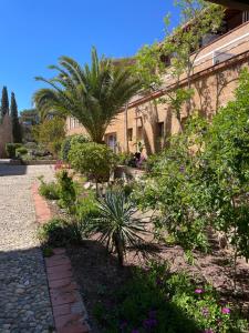 a garden in front of a building with plants at Apt 4-6pers-piscine-parc arboré in Fitou