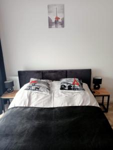 a bed with two pillows on it in a bedroom at Apartament Diament-Jezioro Nyskie in Nysa
