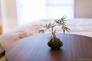 una pequeña planta sobre una mesa de madera en Origaminn 603 by b hotel - 5 mins PeacePark, en Hiroshima