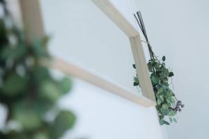 een groene plant die aan een muur hangt bij b hotel Ball Park - 2mins walk Baseball 5mins walk Hiroshima Sta 4ppl in Hiroshima +40 foto's