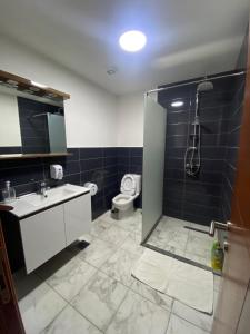 a bathroom with a shower and a sink and a toilet at AQUA RESORT in Plav