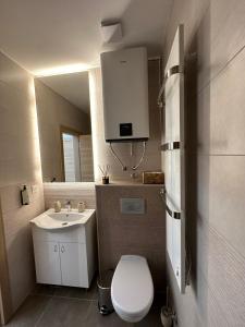 uma pequena casa de banho com WC e lavatório em Zlatiborske terase Spa&Wellness em Zlatibor