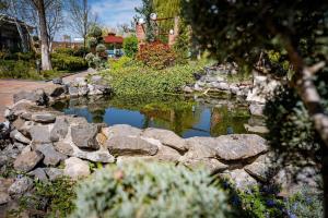 ein Teich in einem Garten mit Steinen und Pflanzen in der Unterkunft Hotel Senator in Timişoara