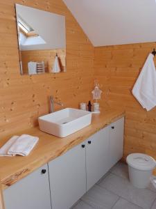 Un baño con lavabo y pared de madera. en Dom Wakacyjny Brzozowy Gaj Bieszczady, en Leszczawka