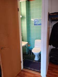 uma casa de banho com um WC e um lavatório em Old Bank em Hämeenkoski