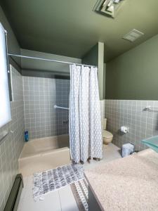 a bathroom with a shower and a tub and a toilet at Berkshire Vacation Rentals: A+ Location: Easy Access To Downtown & Outdoors in Rhinebeck