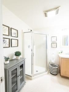 uma casa de banho com um chuveiro e um lavatório. em Berkshire Vacation Rentals: Private Cottage Come Enjoy Nature em Canaan
