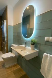 a bathroom with a sink and a toilet and a mirror at Casa rural La Vereda del rio Guadalquivir in Mogón