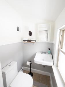 ein weißes Bad mit einem WC und einem Waschbecken in der Unterkunft Berkshire Vacation Rentals: Chic Pittsfield Home With A View in Pittsfield