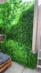 un mur recouvert de mousse verte à côté d'une échelle dans l'établissement The Green House, à Rome