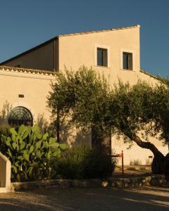 a building with a tree in front of it at Azienda Agricola Mandranova in Palma di Montechiaro