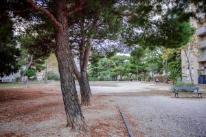 un parque con un banco junto a un árbol en Hall of fame -Center en Split