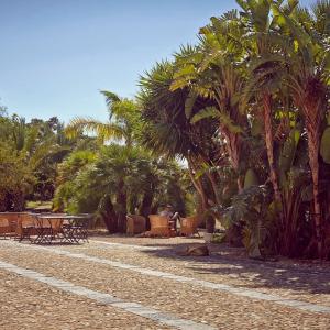a row of tables and palm trees on a beach at Azienda Agricola Mandranova in Palma di Montechiaro