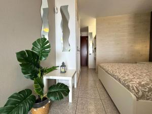Łóżko lub łóżka w pokoju w obiekcie Palm Garden Apartment