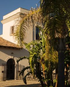 a building with a palm tree in front of it at Azienda Agricola Mandranova in Palma di Montechiaro