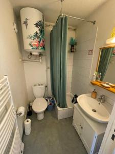 W łazience znajduje się toaleta, umywalka i prysznic. w obiekcie Logement Cosy pour Deux ou Trois - Parfait pour les Jeunes ou Étudiants w Montpellier