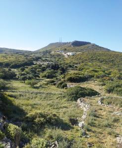 a view of the mountain from the trail at Sophie's Pourko House in Kythira