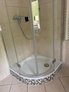 a shower with a glass door in a bathroom at Ferienhaus Waldidyll in Zempin