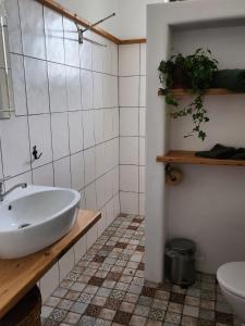 a bathroom with a sink and a toilet at Moongardenhouse in Kováčovce