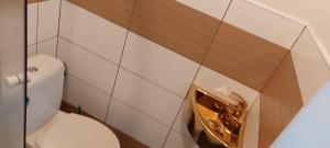 a bathroom with a toilet with a gold plate on the wall at Prague Retro Challenge and Garden in Prague