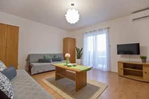 TV a/nebo společenská místnost v ubytování Apartments Rudi